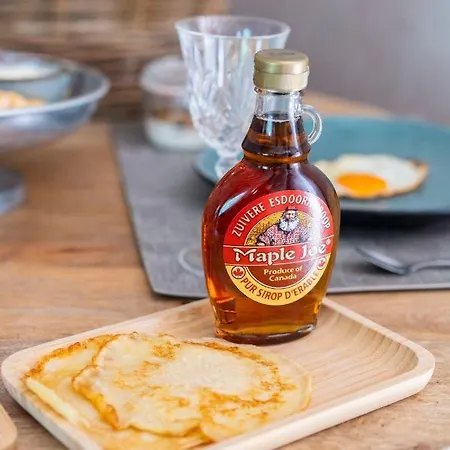 Bed & Breakfast The Wellness Dordrecht