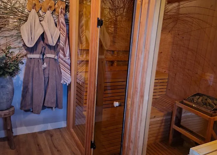 The Wellness 4* 多德雷赫特